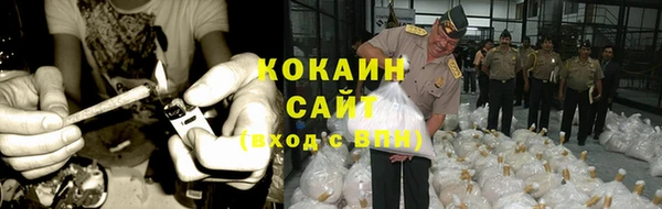 jwh Алзамай