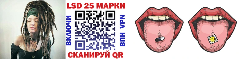 дарнет шоп гидра ссылки Марки N-bome 1,8мг площадка наркотические препараты Алейск