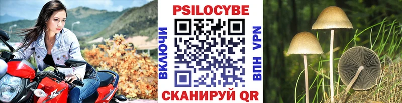 Псилоцибиновые грибы прущие грибы  мориарти официальный сайт  Алейск  купить наркотик 